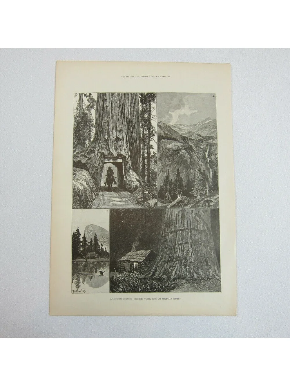 Antique 1888 Print Californian Sketches Mammoth Trees Rocks and Mountain Scenery